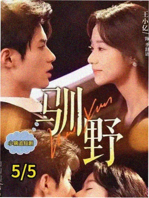 第九封信剧集信息